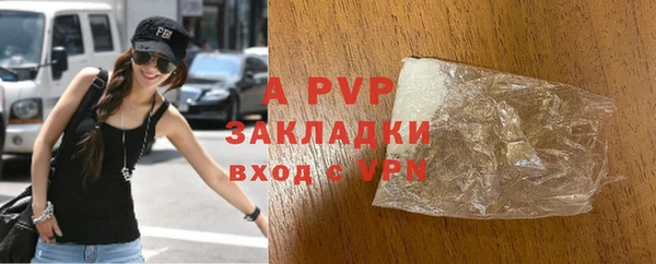 твердый Абаза